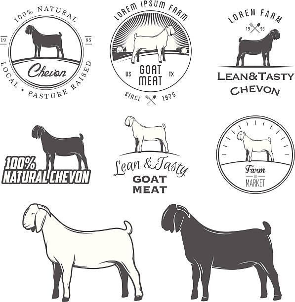 ilustrações de stock, clip art, desenhos animados e ícones de cabra boer conjunto de etiquetas, emblemas e elementos de design - butchers shop meat store farm