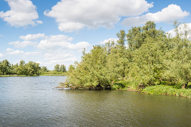 istock Waterfront of a large nature reserve on a sunny day 477556372