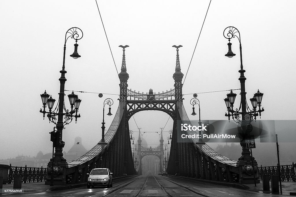 Budapest Liberty Bridge Liberty bridge shrouded by the morning fog in Budapest, Hungary. Bridge - Built Structure Stock Photo
