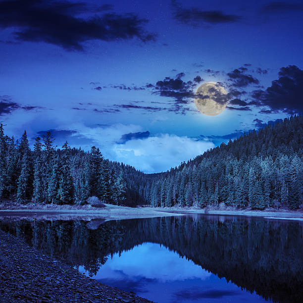 istock pine forest and lake near the mountain at night 477557471