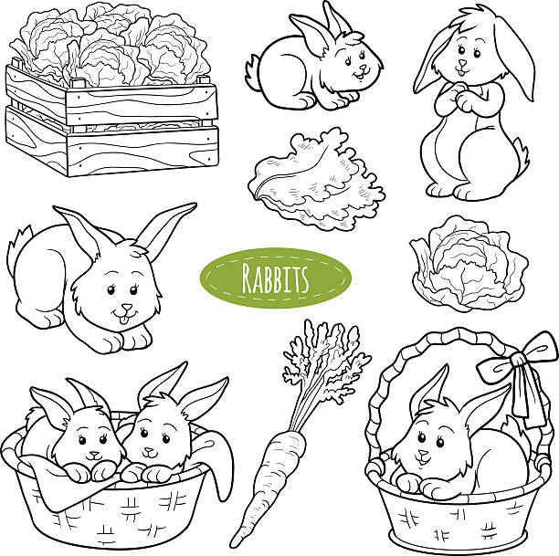 ilustrações, clipart, desenhos animados e ícones de conjunto de animais de fazenda bonito e objetos, vetor família rabbits - cole