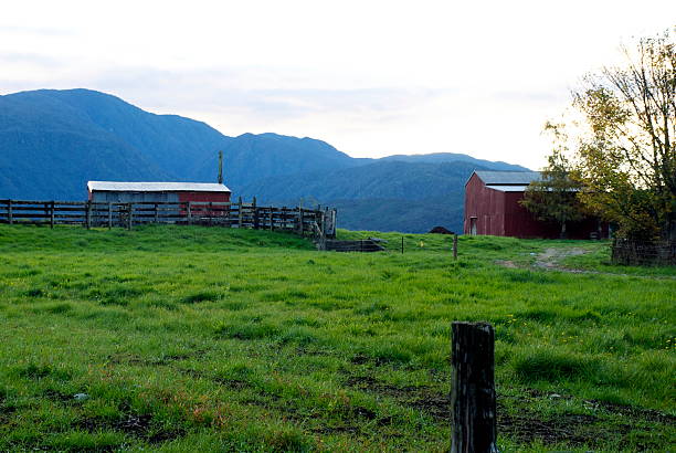 istock Rural New Zealand Scene at Dusk 477560384