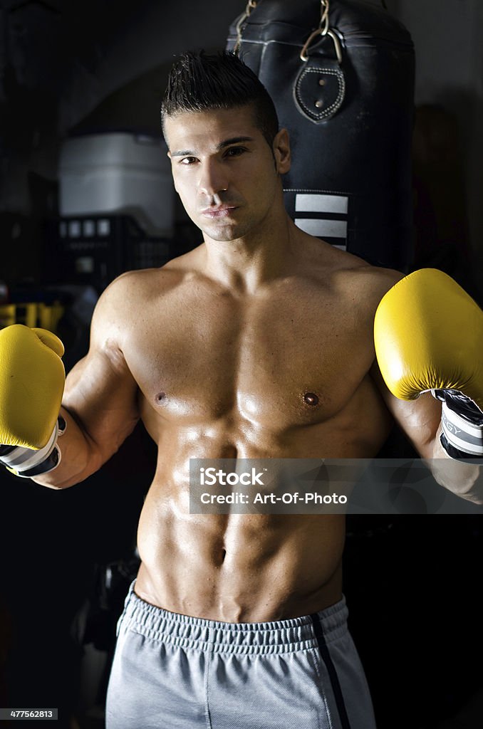 Handsome shirtless young man with boxer's gloves Handsome shirtless and muscular young man with boxer's gloves in a gym Abdominal Muscle Stock Photo