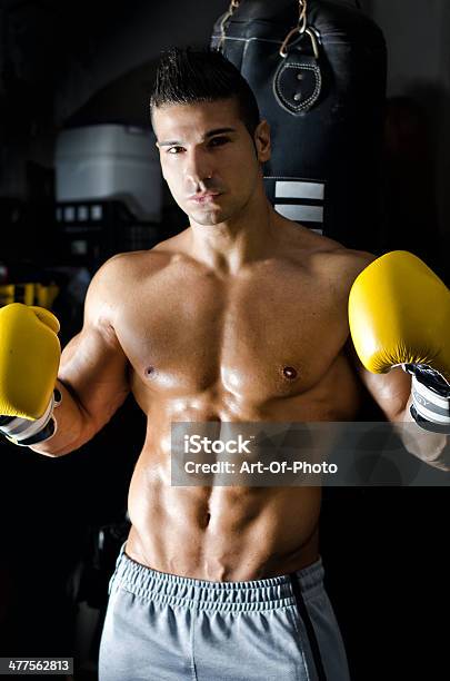 Handsome Shirtless Young Man With Boxers Gloves Stock Photo - Download Image Now - Abdominal Muscle, Active Lifestyle, Adult