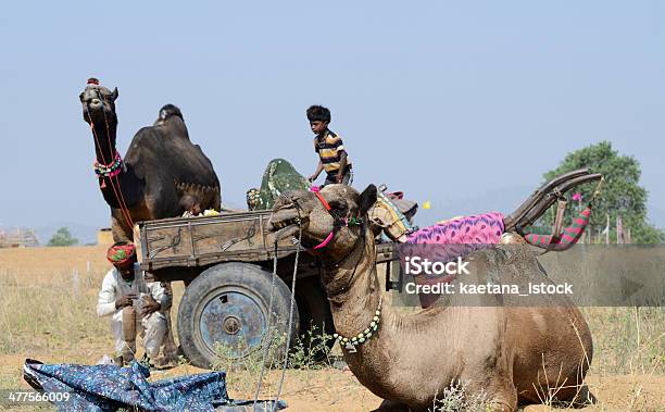 Foto de Gypsy Pessoas Nômades Gado Férias Feira Pushkar Índia e mais fotos de stock de Acampar