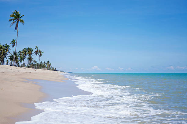 istock Wave on the sand and blue sea 477568863