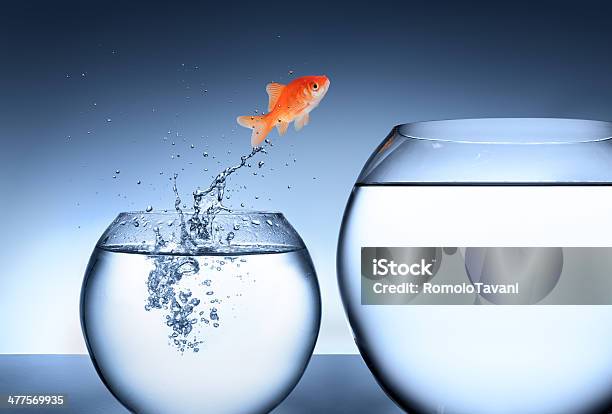 Opportunity Rise And Improvement Concept Stock Photo - Download Image Now - Change, Growth, Business