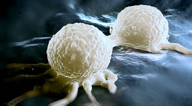 деления клеток рака молочной железы - cancer cell cell cancer human cell стоковые фото и изображения
