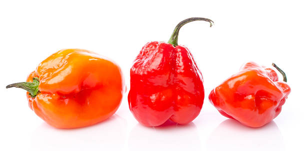 istock Fresh habanero peppers 477578950
