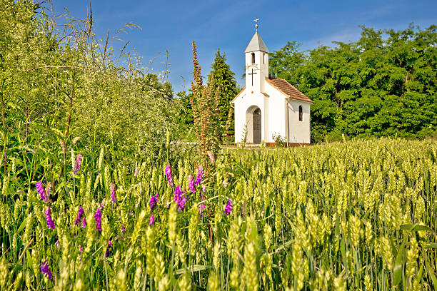 Catholic chapel in rural agricultural landscape, hay field in Cepidlak village of Croatia