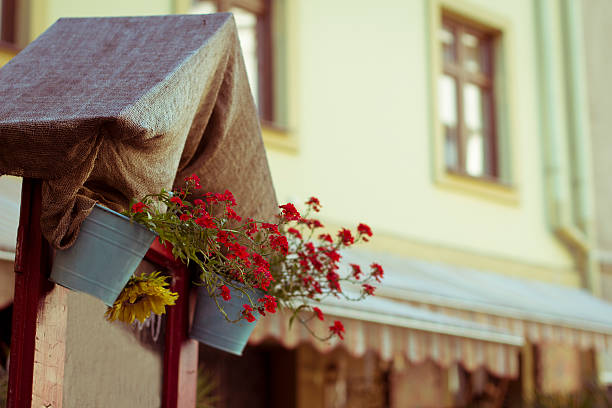 Beds with flowers on the street