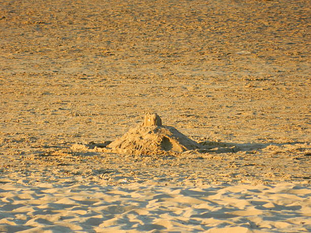 istock Abandoned solitary sandcastle 477581246