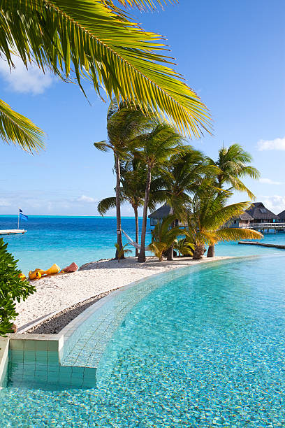 istock seacoast with palm trees and small houses on water. 477583832