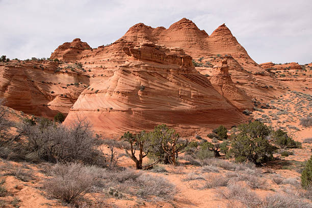 istock Coyote Buttes South, Utah, USA 477584032