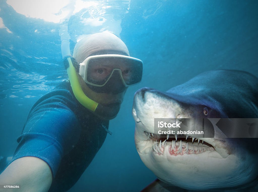 Diver and shark. Underwater selfie with friend. Scuba diver and shark in deep sea. Selfie Stock Photo