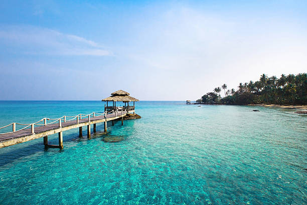 piękna plaża - bora bora polynesia beach bungalow zdjęcia i obrazy z banku zdjęć