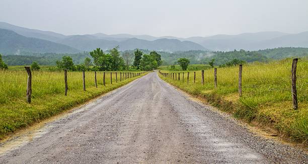 strada di campagna cades cove parco nazionale delle great smoky mountains - cades foto e immagini stock