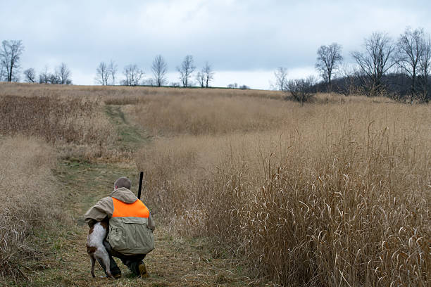 mann und seinem besten freund jagd - pheasant hunting fotos stock-fotos und bilder