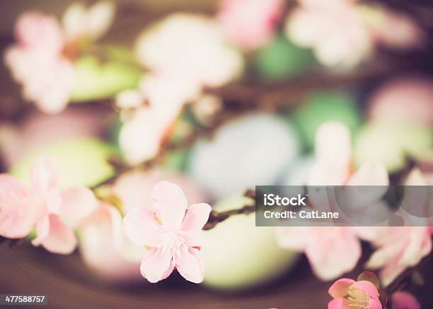 Easter Eggs And Cherry Blossom Stock Photo - Download Image Now - Animal Egg, Arrangement, Blossom