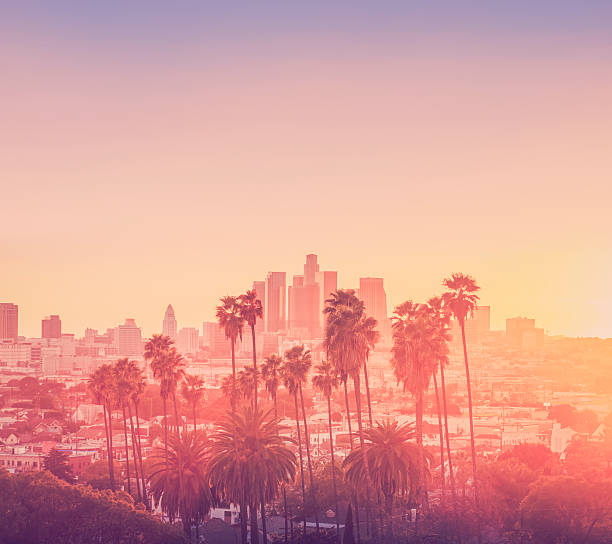 Los Angeles sunset scene with palm trees Downtown Los Angeles los angeles county stock pictures, royalty-free photos & images