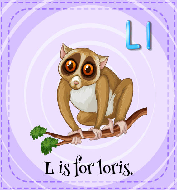 Loris Easy 250+ Slow Loris Stock Illustrations, Royalty-Free Vector Graphics ...