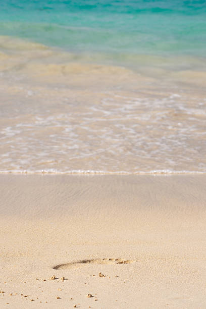 istock Footprint in the sand 477591528
