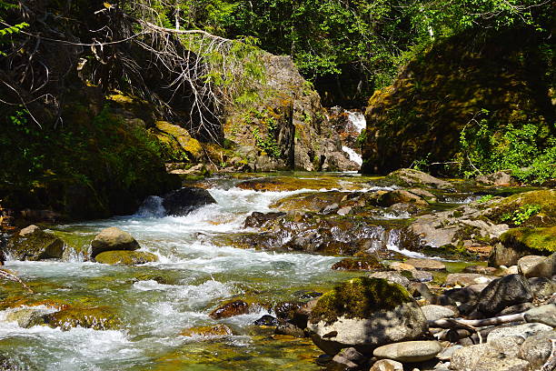 istock Mt. Rainier's Panther Creek 477591686