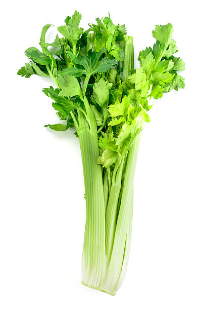 Fresh celery isolated on white background Fresh celery isolated on white background celery stock pictures, royalty-free photos & images