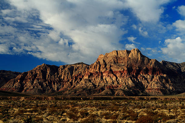 istock Morning at Red Rocks National Conservation Area 477593539