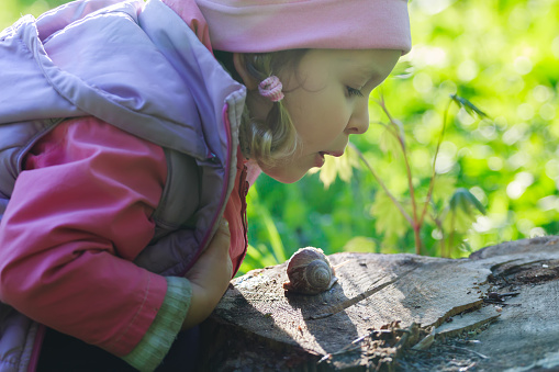 Three years old preschooler girl is blowing on crawling edible snail