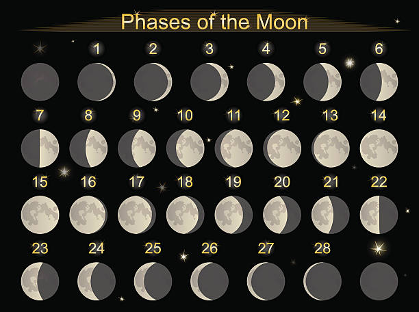 ilustrações de stock, clip art, desenhos animados e ícones de fases da lua - moon change eclipse cycle