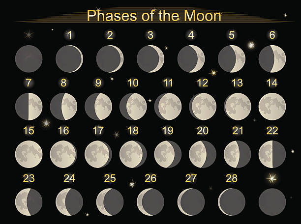 Phases of the Moon Vector illustration set icons - phases of the Moon sector stock illustrations