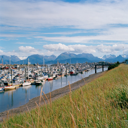 A beautiful August afternoon at the Homer Harbor. Background is the Kenai Mountains and glaciers. Shot using 6x6 cm Ektar film in 2013.