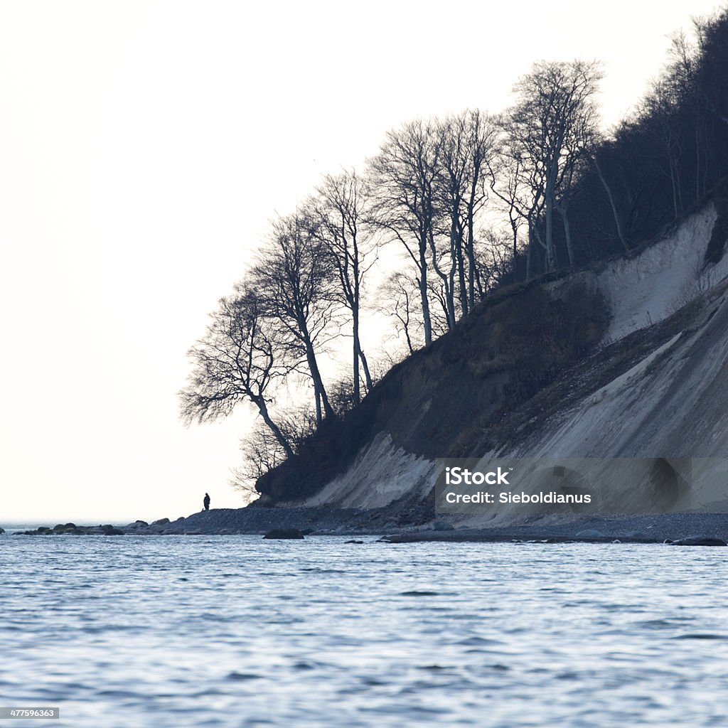 Wood along the chalk cliffs of Ruegen and Baltic Sea. Wood along the chalk cliffs of Ruegen and Baltic Sea. Silhouette of a man looking out to the sea. Adult Stock Photo