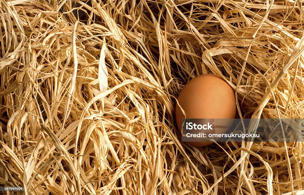 Brown Eggs Broken brown eggs is among straw. Animal Stock Photo