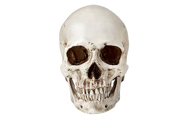 istock Suicide Human skull on white background - Stock image 477598480