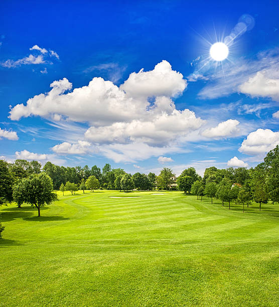 golfplatz und den blauen sonnigen himmel grünen feld landschaft - golf golf club luxury golf course stock-fotos und bilder