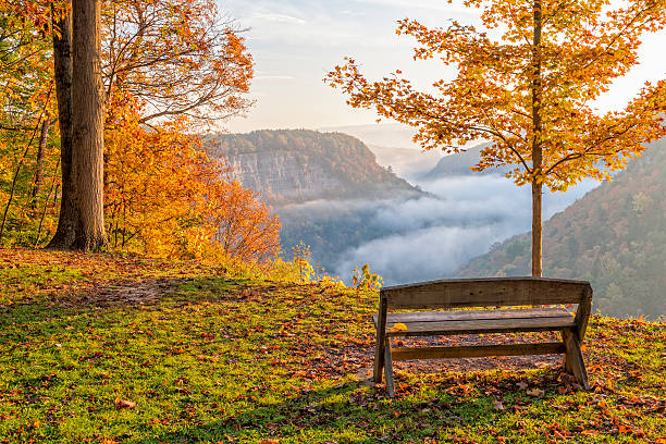 早朝日の出で letchworth 州立公園 - letchworth state park ストックフォトと画像