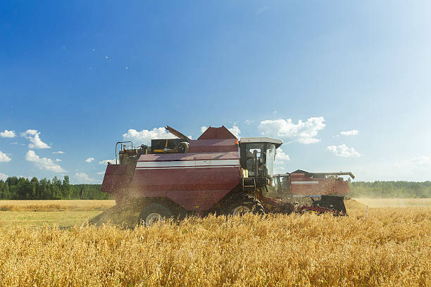 istock Combine machine with reel and cutter bar working in field 477599406