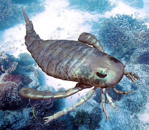 eurypterus seafloor escaneado - ordoviciense ilustraciones fotografías e imágenes de stock