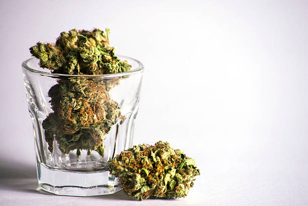 Shotglass of Marijuana Shotglass full of cannabis Hot Donna Runtz marijuana
