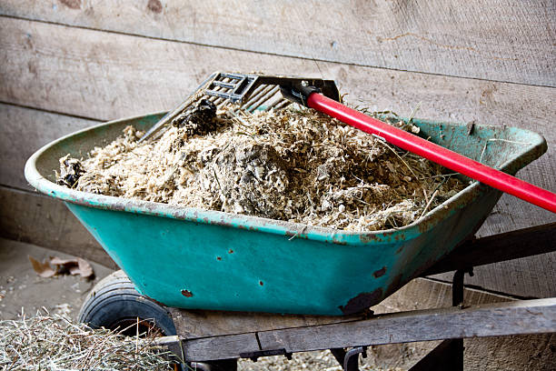 istock Old wheel barrow filled with manure 477603509