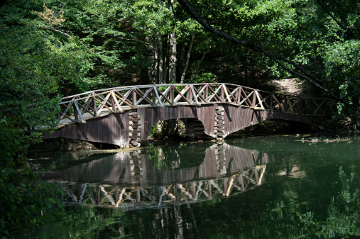 Yedigoller National Parks and wooden bridge