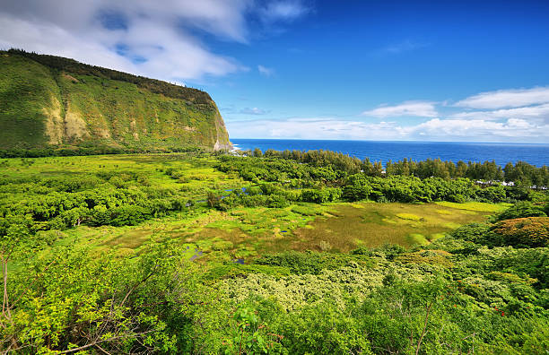 valle di waipio visualizzare in hawaii - mountain looking at view beach cliff foto e immagini stock