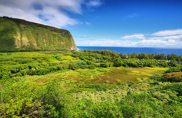 ハワイでワイピオ渓谷の眺め - mountain looking at view beach cliff ストックフォトと画像