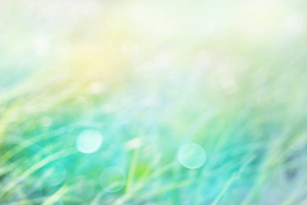 istock Blurred Abstract grass and natural green pastel background 477608106