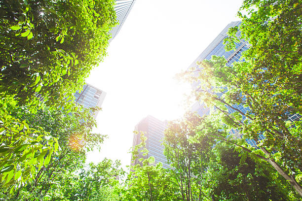 istock Business towers and Green leaves 477608596