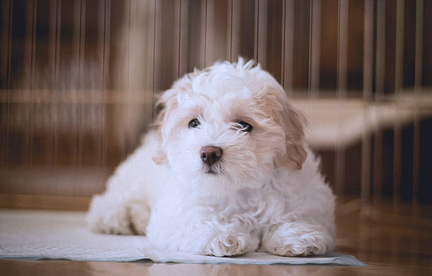istock Puppy Painting 477609455