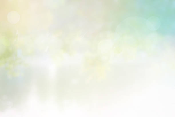 istock Background sunlight nature blurred, Ultraviolet on the leaves tree 477612254