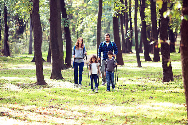 istock Cheerful Family Hike in a Forest. 477614233